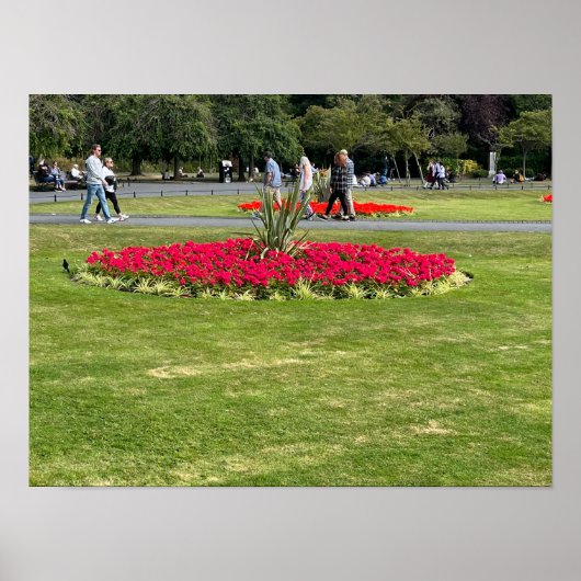 Poster St Stephens Green Dublin Irlande Europe (Devant)