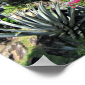 Poster St. Thomas (Coin)