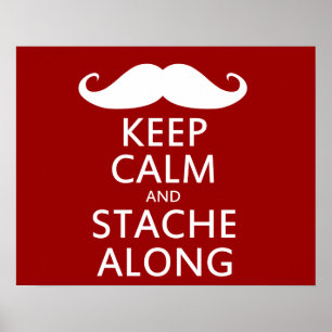 Poster Stache le long
