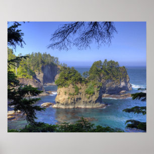 Poster Stacks marins, terres tribales de la nation Makah,