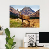 Poster Stade en Écosse Poster/Imprimer (Bureau à domicile)