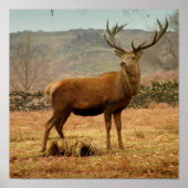 Poster Stade impérial (Devant)