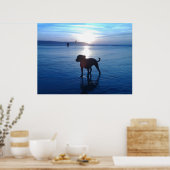 Poster Staffordshire Bull Terrier (Cuisine)