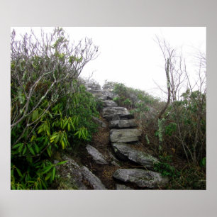 Poster Stairs to the Clouds, Appalachian Trail