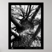 Poster Stairway (Devant)