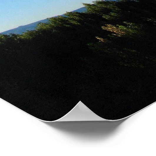 Poster Stairway (Coin)