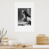 Poster Stalk de chats du Bengale (Cuisine)