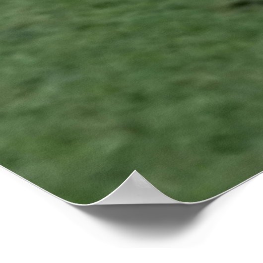 Poster Stalker Michael Myers (Coin)