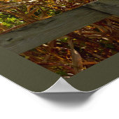 Poster Stalks de maïs séchés (Coin)