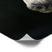 Poster Stallion andalou Casquette Mane Flow (Coin)