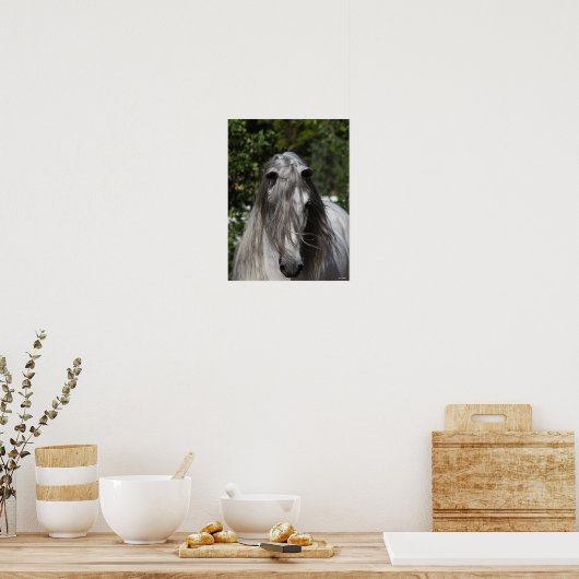 Poster Stallion Andalou Gris Capture d'écran Long Mane (Cuisine)