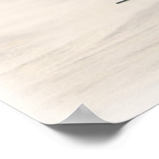 Poster Stallion arabe (Coin)