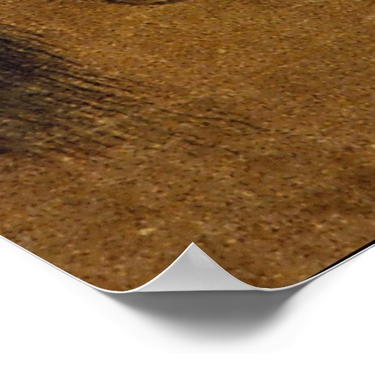 Poster Stallion avec Groom (Coin)