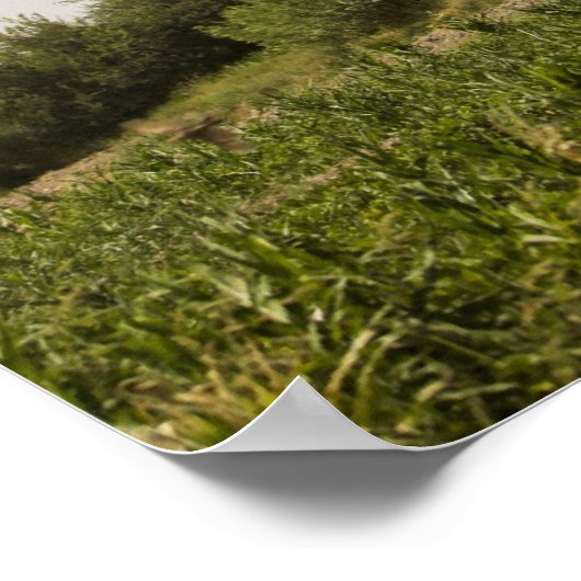 Poster Stallion de mer CH-53D (Coin)