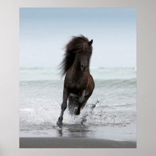 Poster Stallion En Course Sur La Plage   Atlantique Nord