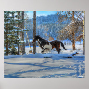 Poster Stallion Pinto Paint & Neige d'hiver