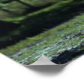 Poster Stallion Thoroughbred Running (Coin)