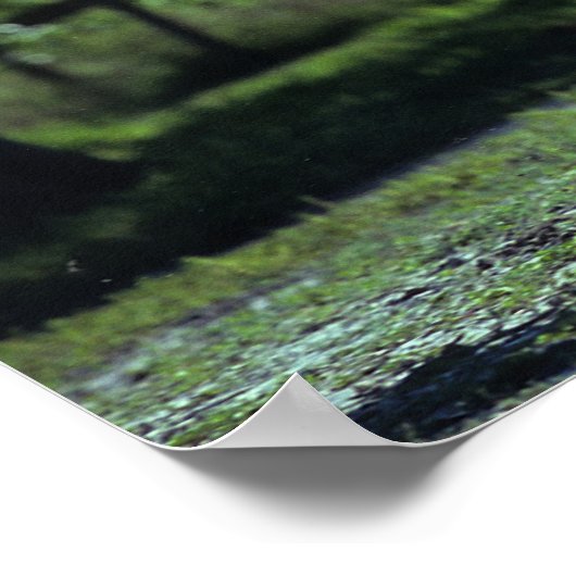 Poster Stallion Thoroughbred Running (Coin)