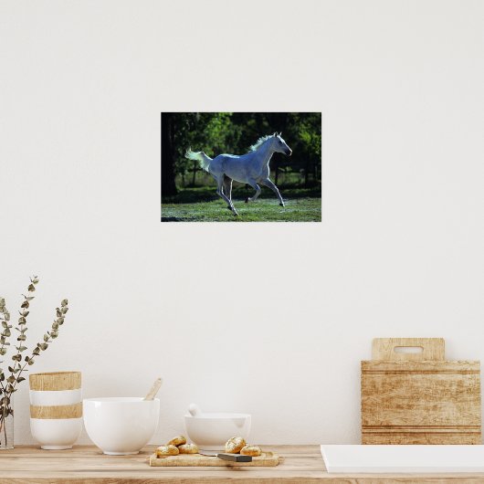 Poster Stallion Thoroughbred Running (Cuisine)