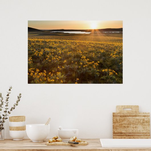 Poster Stand Of Arrowleaf (Cuisine)