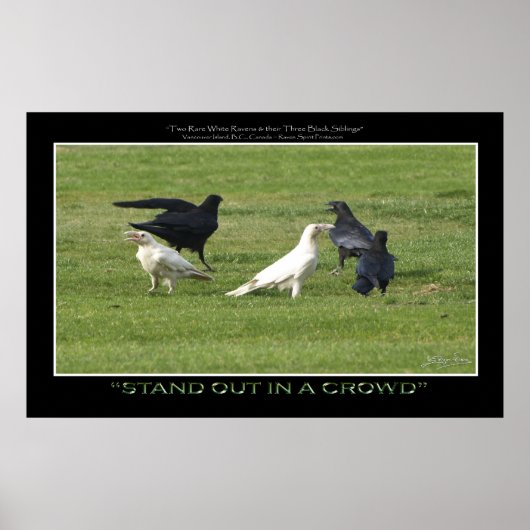 Poster "STAND OUT" BLANC RAVENS Photo Motivationnelle Imp (Devant)