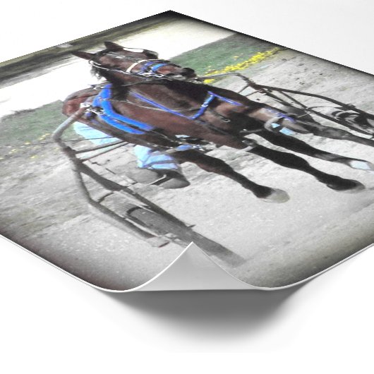 Poster Standard (Coin)