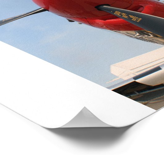 Poster "Stang" (Coin)