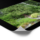 Poster Stanley Park, Vancouver (C.-B.) (Coin)