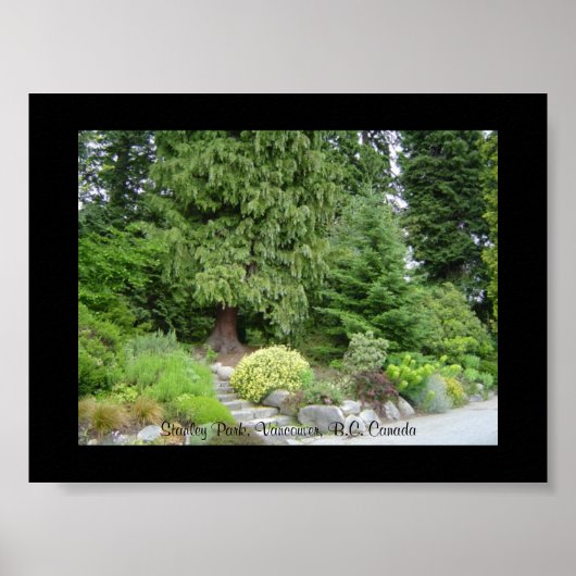 Poster Stanley Park, Vancouver (C.-B.) (Devant)