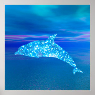 Poster Star Dolphin