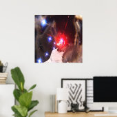 Poster Star Dreamer (Bureau à domicile)