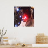 Poster Star Dreamer (Cuisine)
