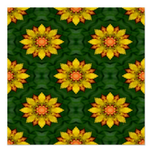 Poster Star Flowers... (Devant)