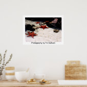 Poster Star Light, Star Bright par TDGallery (Cuisine)