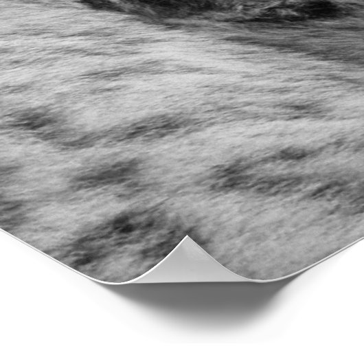 Poster Stare de léopard des neiges (Coin)