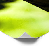 Poster Stare intense (Coin)