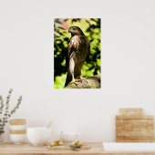 Poster Stare intense (Cuisine)