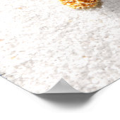 Poster Starfish (Coin)