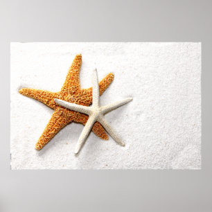 Poster Starfish