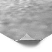 Poster Starfish (Coin)