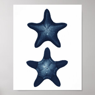 Poster Starfish Beach Décor Marine Salle de bain Art
