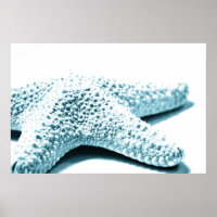 Starfish bleu