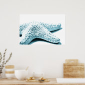 Poster Starfish bleu (Cuisine)