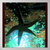 Poster Starfish CB (Devant)