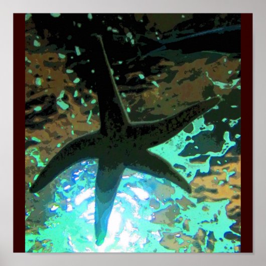 Poster Starfish CB (Devant)