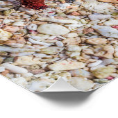 Poster Starfish Ocean Plage Vintage Souvenir rétro (Coin)