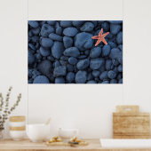 Poster Starfish On Black Rocks Along Iceland (Cuisine)