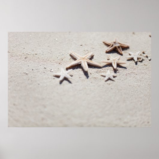 Poster Starfish on sand (Devant)