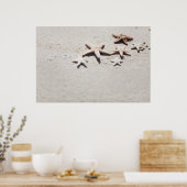 Poster Starfish on sand (Cuisine)