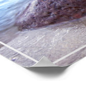 Poster-Starfish Poster (Hoek)